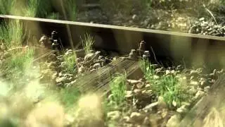 Cris Rellah - Breathe in Breathe out (Trailer)