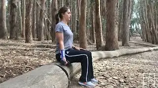 Bauerfeind | Seated Biceps Curls Resisted Supinated