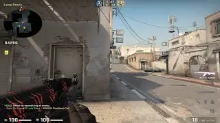 HOW SILVERS TAKE A LONG DUST2