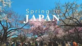 Spring in JAPAN: Shot on iPhone XR and Sirui Wide Angle Lens