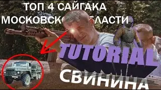 ЛИНОЛЕУМ И ЕГО ВОЗДЕЙСТВИЕ НА НАДПОЧЕЧНИКИ