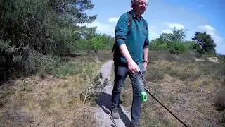Boswandeling Besthmenerberg, Ommen