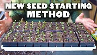My NEW Favorite Seed Starting Method 🌱🌱🌱
