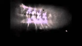 Instar Drosophila Larvae Expressing UAS-GCaMP 5.0 V1