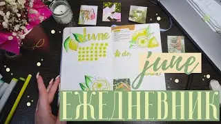 ИЮНЬ Bullet Journal 🌸🍓 Планируй со мной