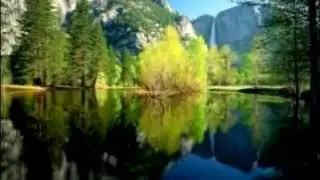 Шухрат Хакимов  дилга якин кушиклар
