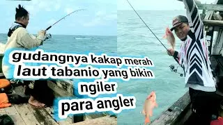 Gudangnya kakap merah laut tabanio yang bikin ngiler para angler