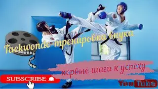 США, школа Джиу Джитсу в городе СПРИНГ-ХИЛЛ, штат Флорида ,США