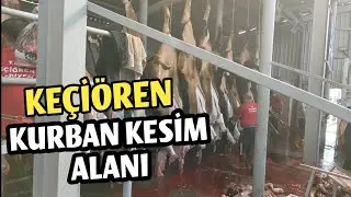 2024 KURBANLIK KESİMİ AŞAMALARI | Keçiören Belediyesi Kurban Kesim Yeri - Bağlum