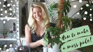 How to Make a Moss Pole !
