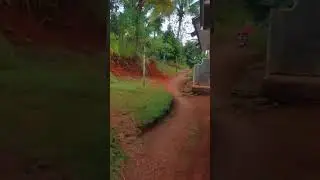 Jalan Setapak Rumah Puncak di Ciamis
