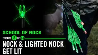 School of Nock: 