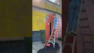 painting a BOLD mural wall🌈 #diy #mural #backyardmakeover