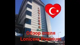 Обзор территории Lonicera premium, Турция, Авсалар.