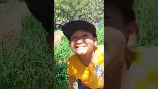ANAK TI MANNALON nagaget nga agsikka taga Banna Ilocos norte