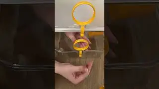 Новый дом для хомячка 