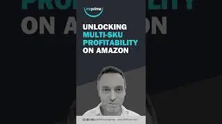 Unlocking Multi-SKU Profitability on Amazon