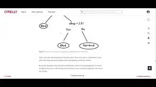 CAI1001 Module 6-1 Lecture
