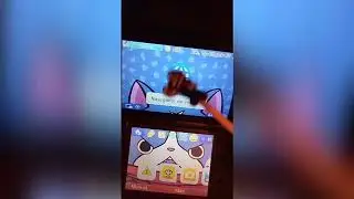 Juego oculto en el navegador de Internet de la Nintendo 3DS
