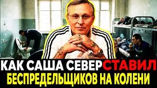 ТАЙНА «БЕЛОГО ЛЕБЕДЯ»! Почему Север выжил там, где другие ломались?
