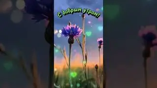 С добрым утром и хорошим днём #доброеутро #позитив #shorts