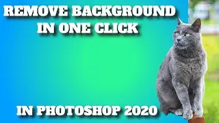 how to remove background in photoshop 2020 in one click
