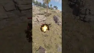 Cheater vs Landmine Bear 