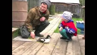 Дети и щенок | Дети и селезень | Дети в деревне