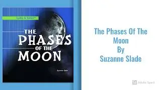 The Phases Of The Moon by Suzanne Slade