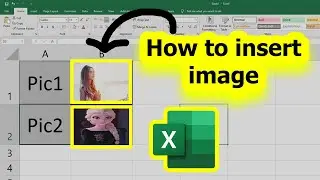 Insert image in excel cell (Easy Way)