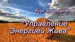 Управление Энергией Жива