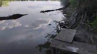 ШОК природа!!! Или Донские просторы!!