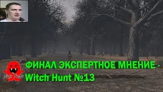 ФИНАЛ ЭКСПЕРТНОЕ МНЕНИЕ - Witch Hunt №13