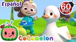 Cinco Patitos  | Canciones Infantiles | Caricaturas para bebes | CoComelon en Español
