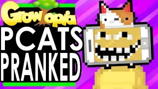 Pcats *DESTROYED* by Prank in Growtopia!