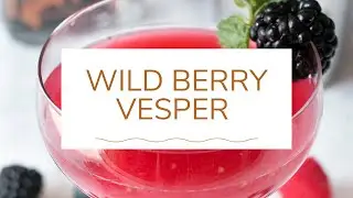 Absolut Elyx Wild Berry Vesper