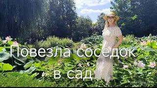 Zen прогулка в ботаническом саду. #ботаническийсад
