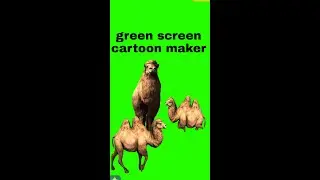 Green screen camel animal character use cartoon make movies and storys..