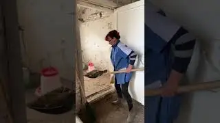 Ферма - это дисциплина! А может любовь?