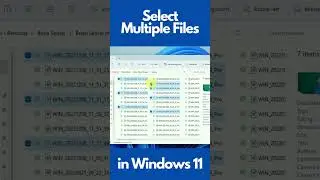 Select Multiple Files in Windows 11 