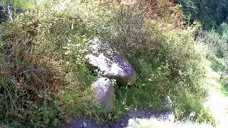 Дорога к горячим источникам 1