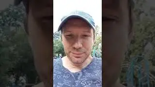 Как я провел лето 2024