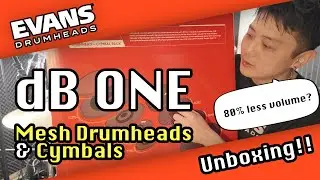 I unboxed and played “dB one” by Evans!!🥁