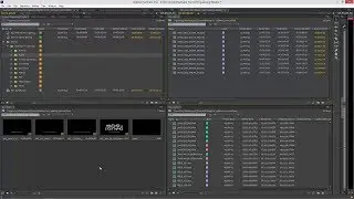 Easy And Powerful Media Organizing and Sorting in Premiere Pro
