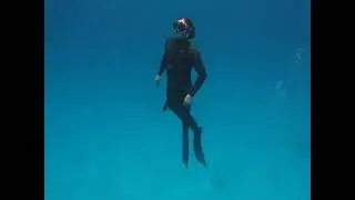 Дельфинчики