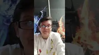Помогите найти дом питомцу и праздничная обстановка