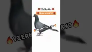 No te lo puedes perder, de verdad te va a encantar 🔥😎