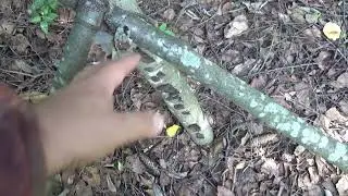 При поиске золота наткнулся на странное место, стоянка странных туристов?
