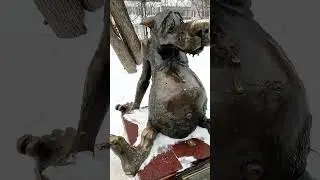 Памятник Счастью
