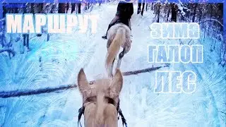Маршрут в лесу от первого лица | Action Cam